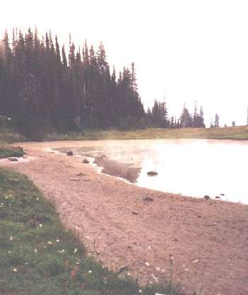 A view of the Klapatche Lake (mud puddle). Recent dry winters means little melt water available for catch basins, such as Klapatche, and water levels have recently declined. Klapatche Lake near the Wonderland Trail, Mt. Rainier National Park, Washington